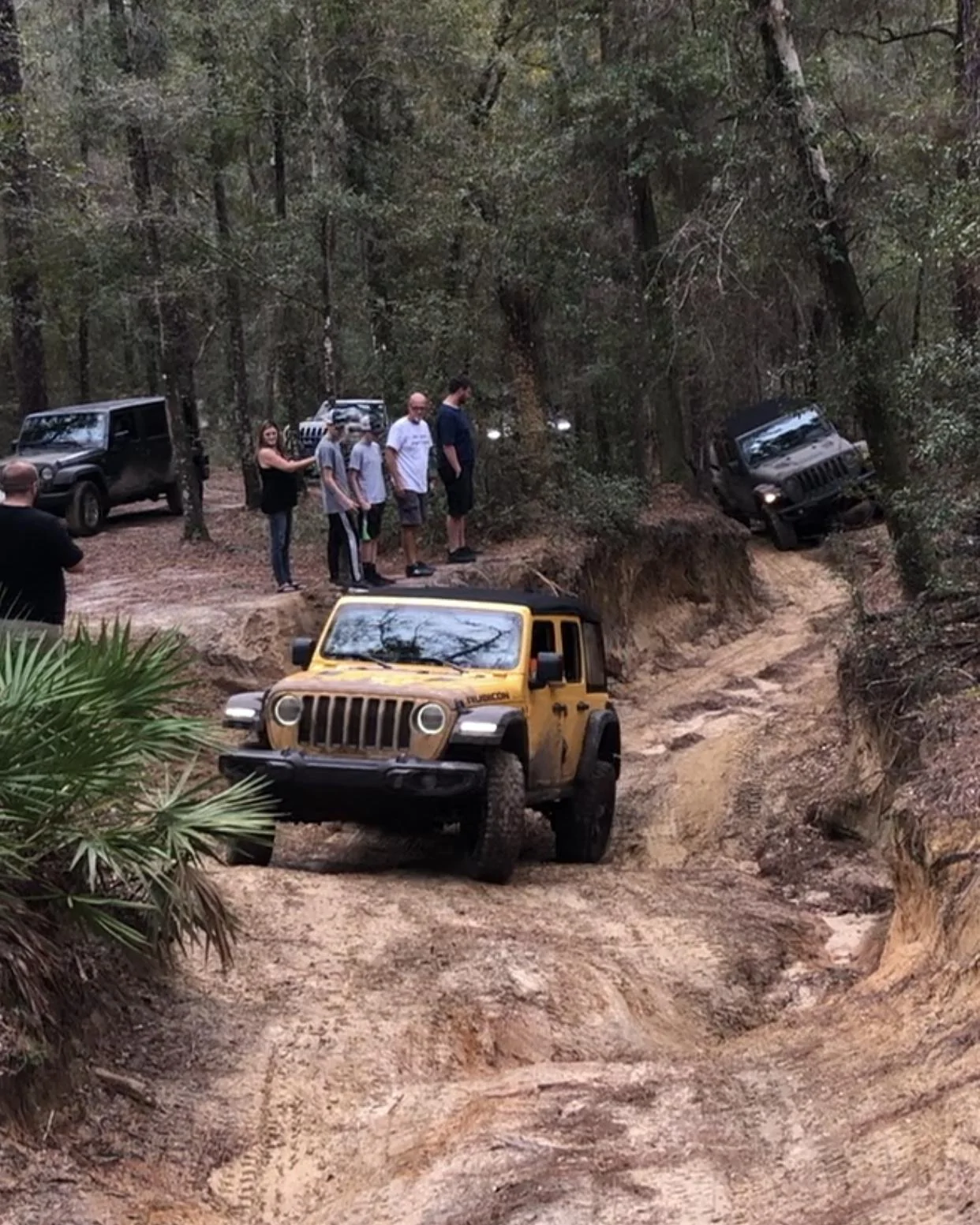 Jeep Wrangler JL Florida Roll Call! 2B4C52A8-228F-4B00-9723-8D3F586F237C