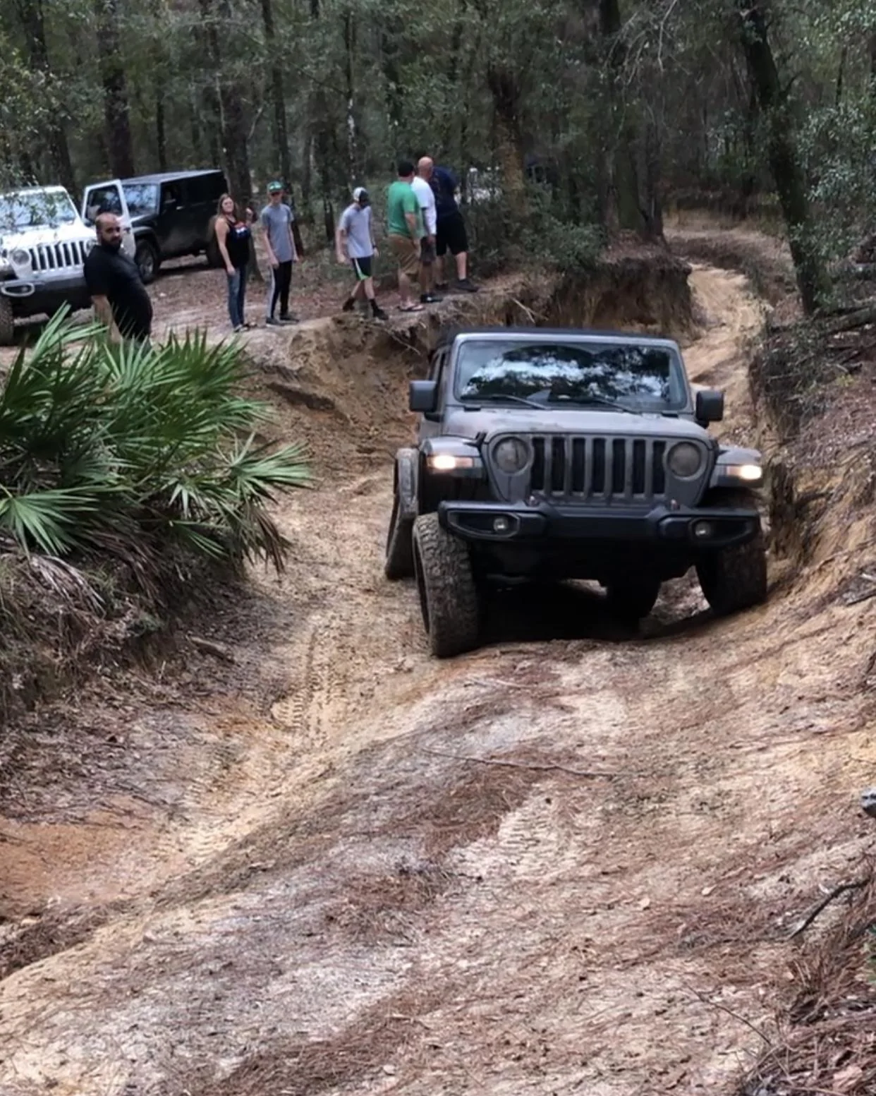 Jeep Wrangler JL Florida Roll Call! 394AF706-11FC-49C4-B3BC-11C7DC49C8D3