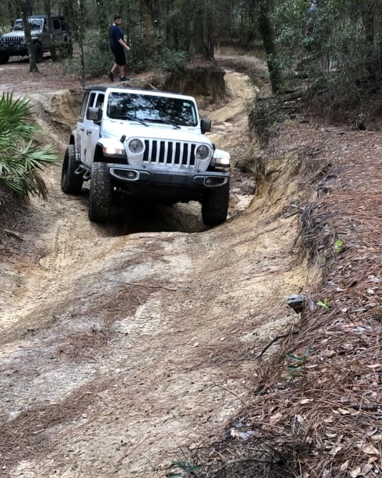 Jeep Wrangler JL Florida Roll Call! AA78CA14-F741-4EFB-BE68-65B74F38F4BE