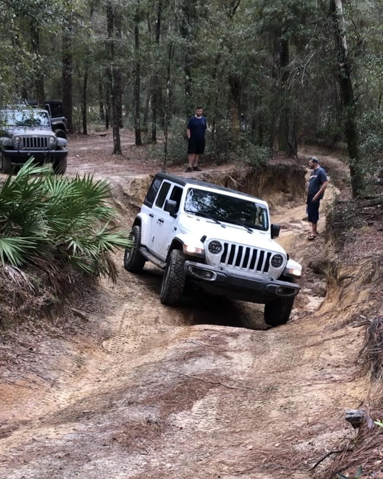 Jeep Wrangler JL Florida Roll Call! 97B8EA35-ACC8-4A14-B718-C6079EA907CB