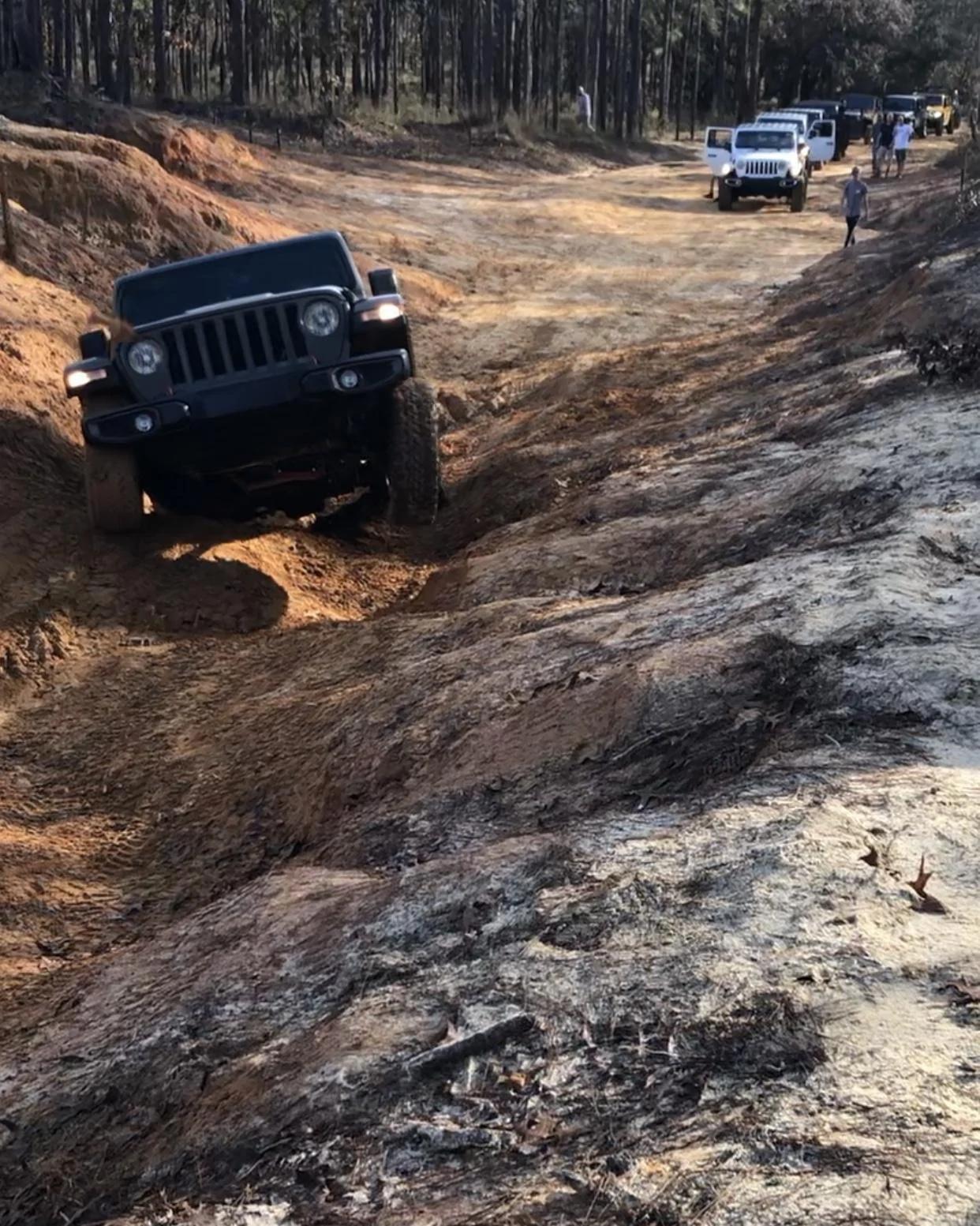 Jeep Wrangler JL Florida Roll Call! 8BF51F54-BECD-4150-BABC-07F29DD3A8B3