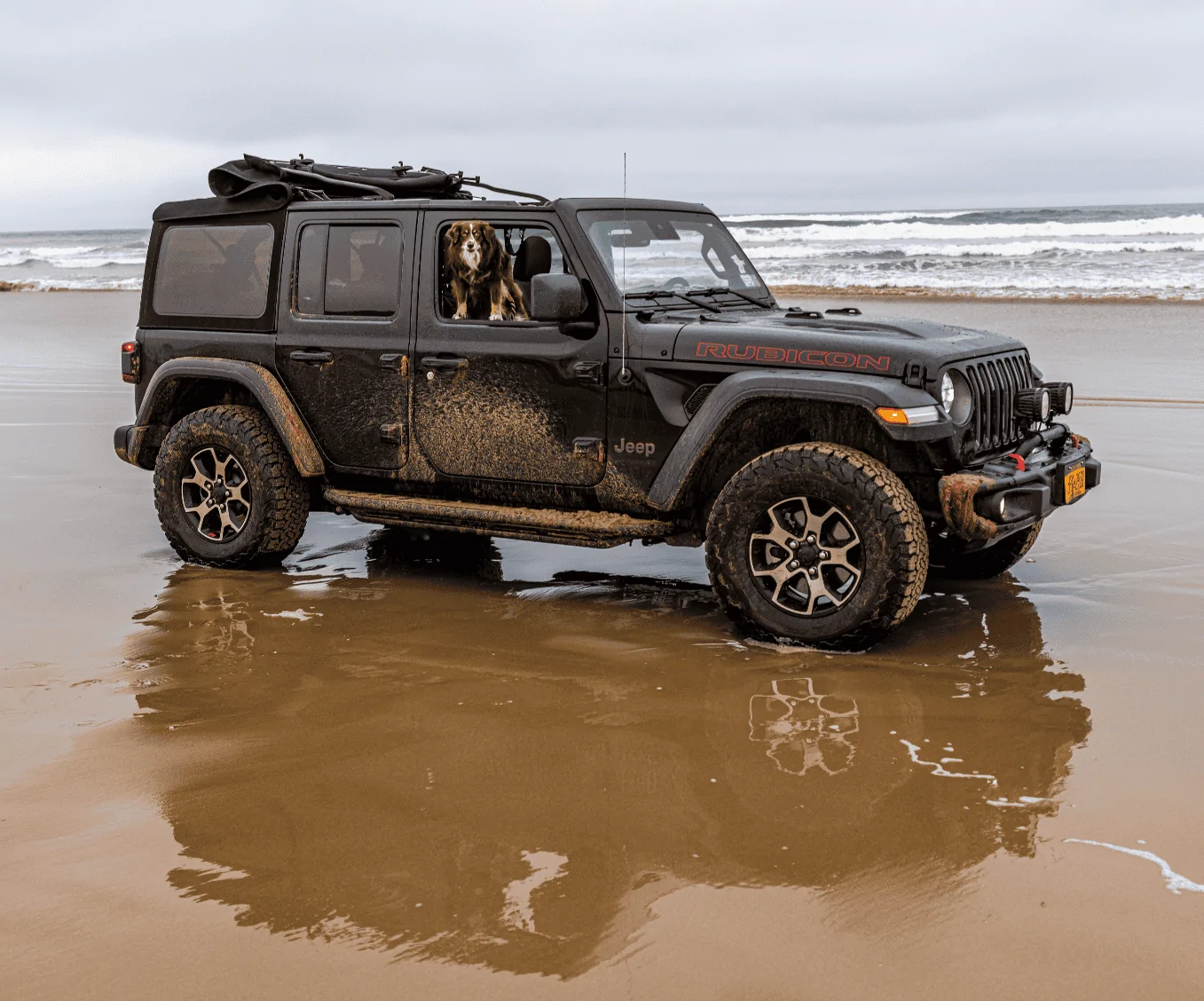 Jeep Wrangler JL Jeep Dog pics Screen Shot 2020-05-20 at 12.24.52 PM