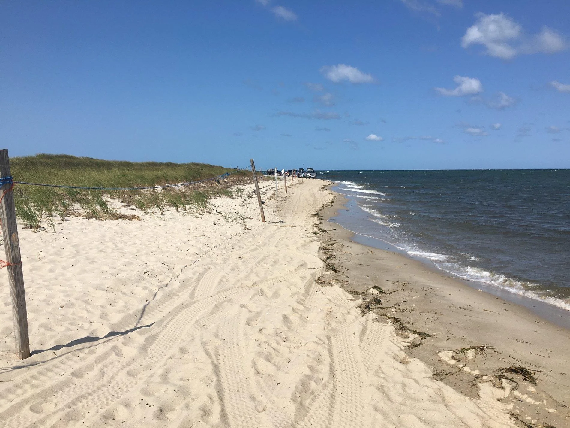 Jeep Wrangler JL Off-road Beaches in Mass river