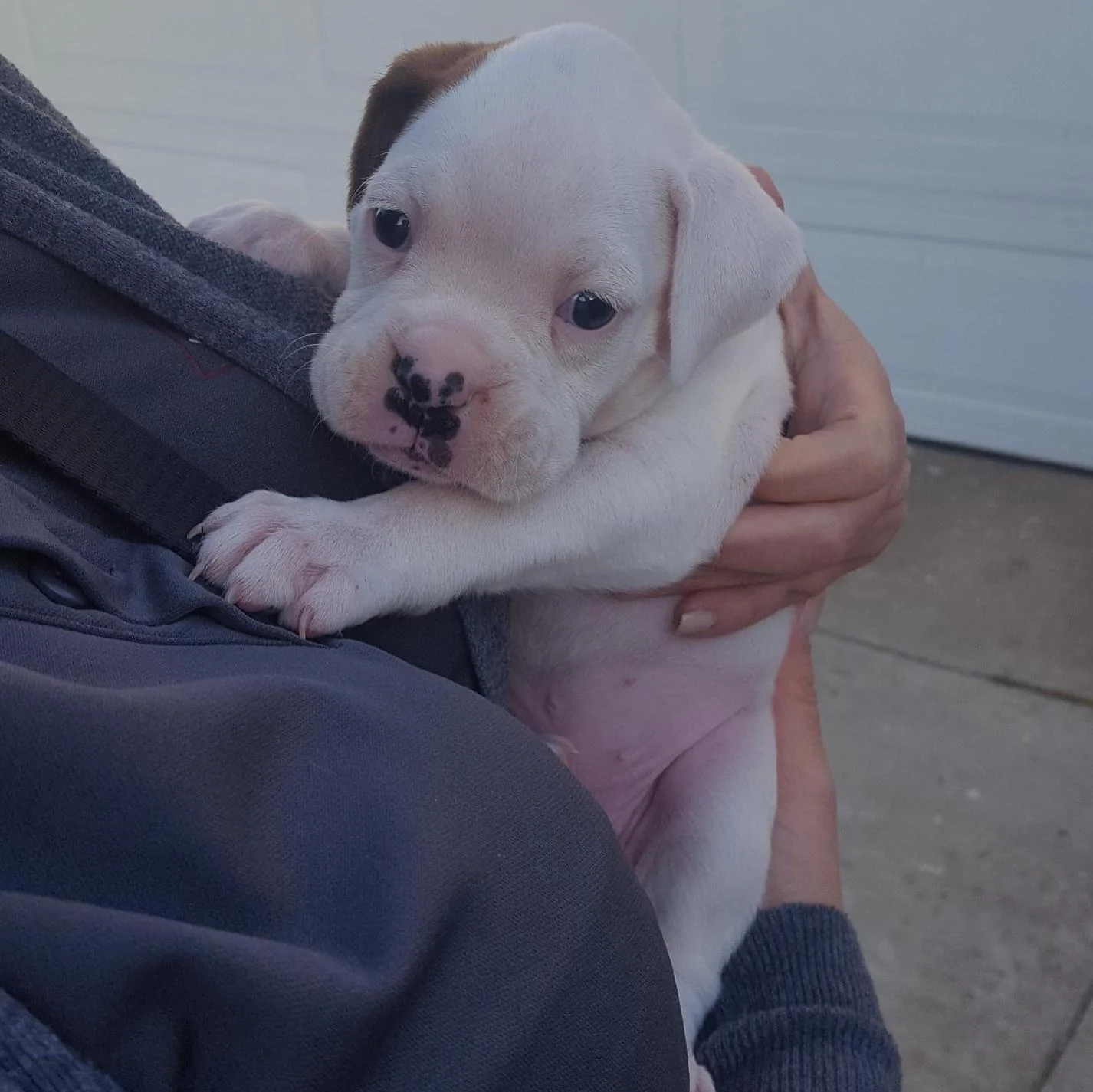Jeep Wrangler JL I'm a dad! IMG_20180418_204343_137