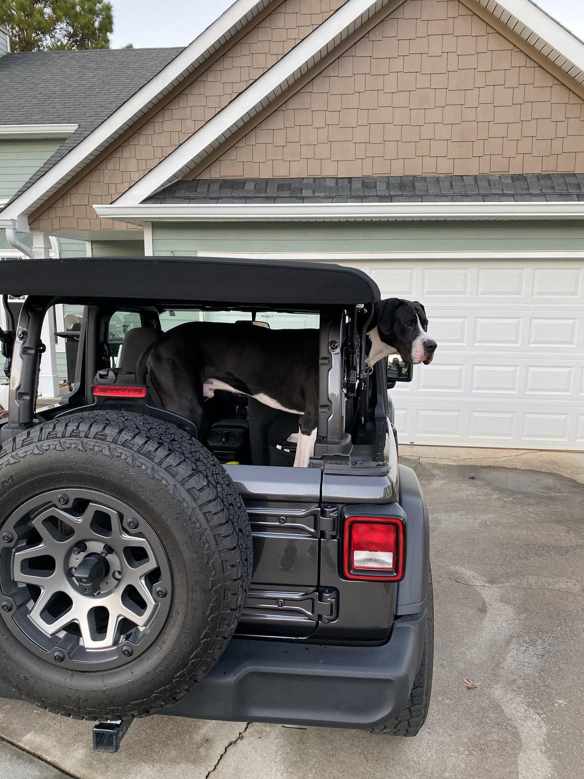 Jeep Wrangler JL Dogs in a 2-door? A9872527-45B0-4589-A0F5-271FB486C620
