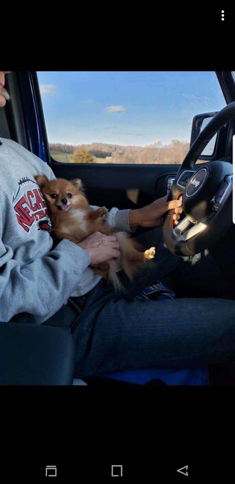 Jeep Wrangler JL Jeep Dog pics Chloe J