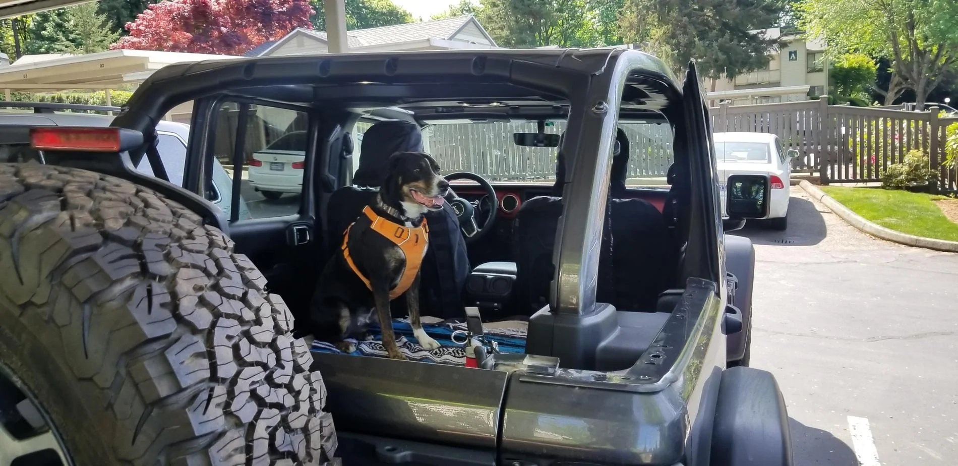 Jeep Wrangler JL Jeep Dog pics 1Oe9IefD2HBNgtCWIF6EDsUQ=w3840-h1868-no?authuser=0