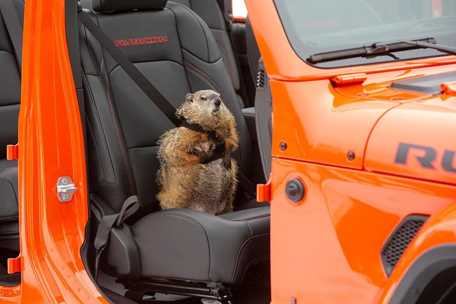 Jeep Wrangler JL Do you wave at Gladiators? jeep-groundhog-02-2020