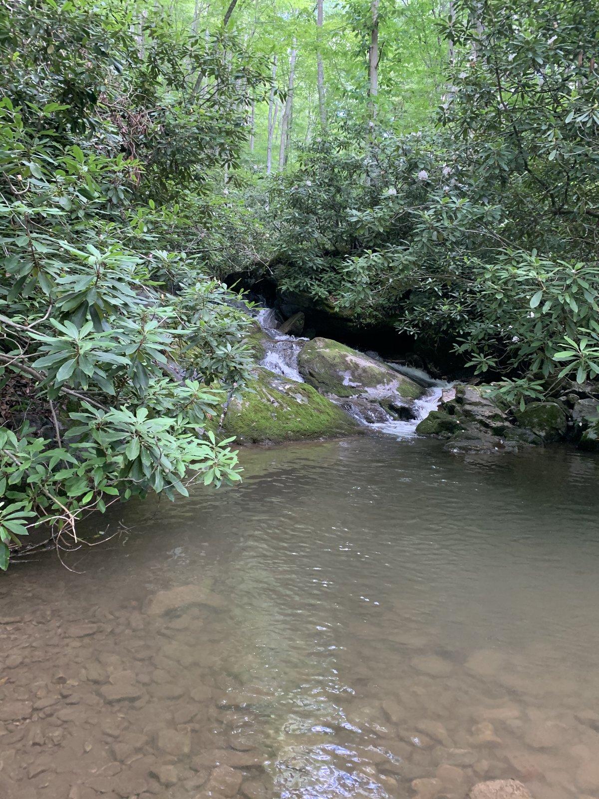 56CC9B34-3666-4C48-983D-448E19E15109.jpeg