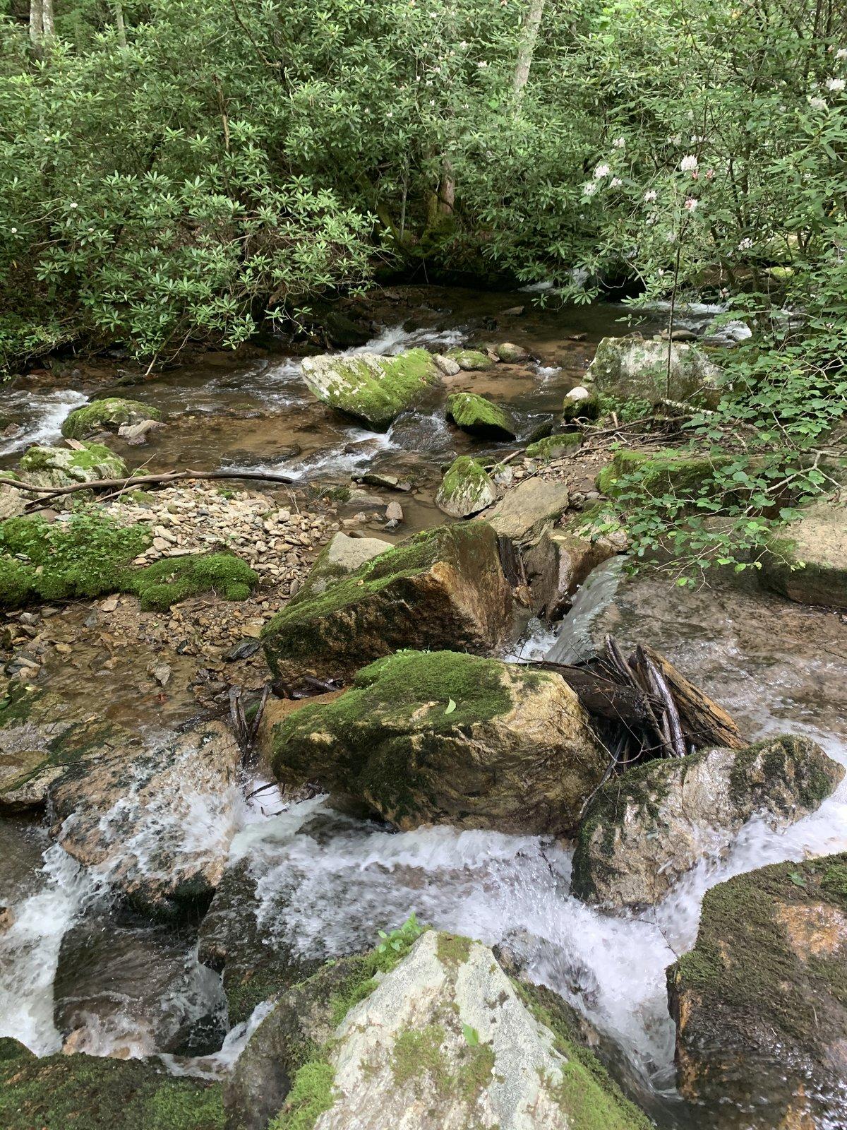 D1F3F779-F697-4CA4-A4F2-723770A994C8.jpeg