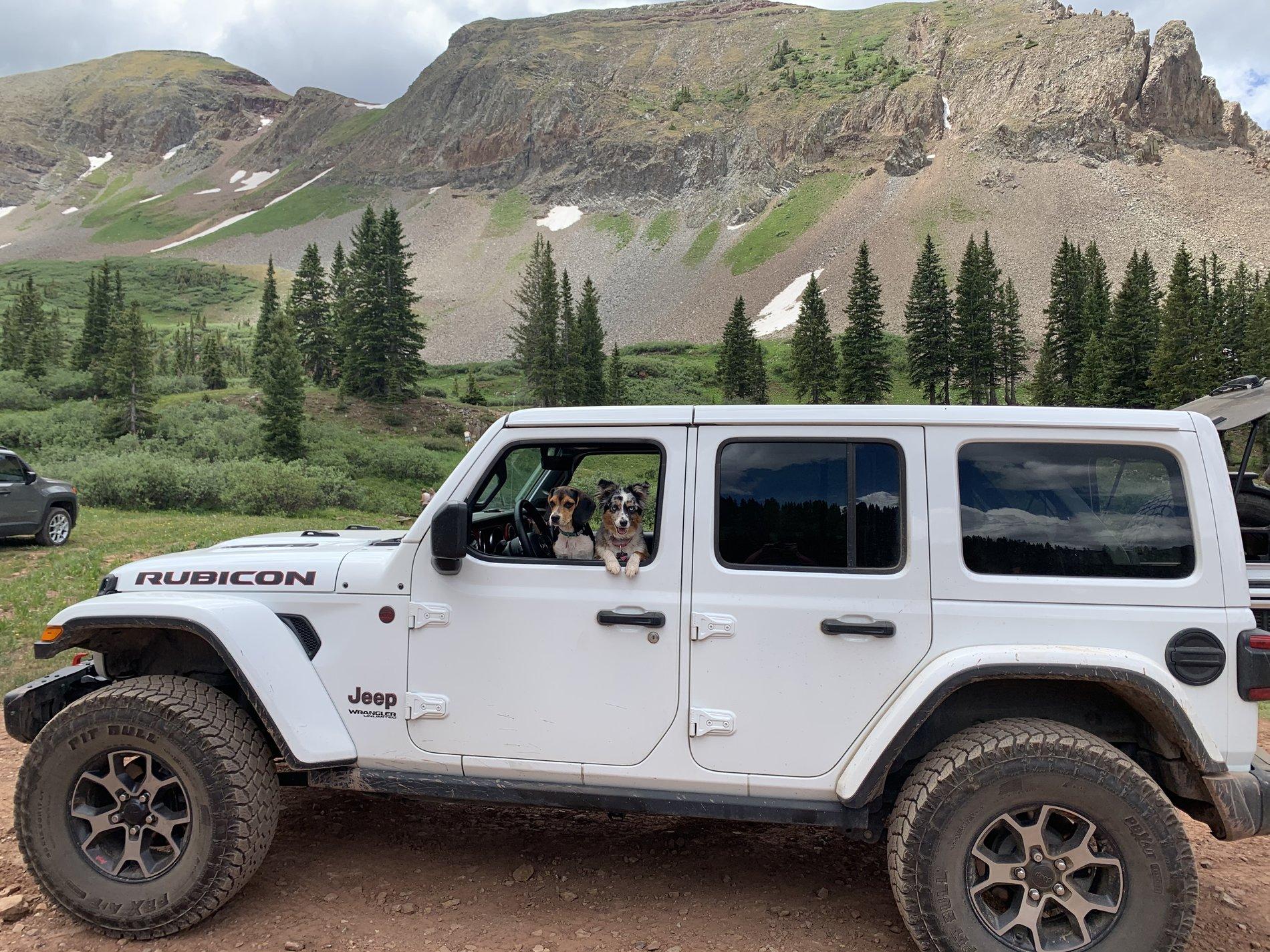 Jeep Wrangler JL Jeep Dog pics Peepr Rubi Jeepin