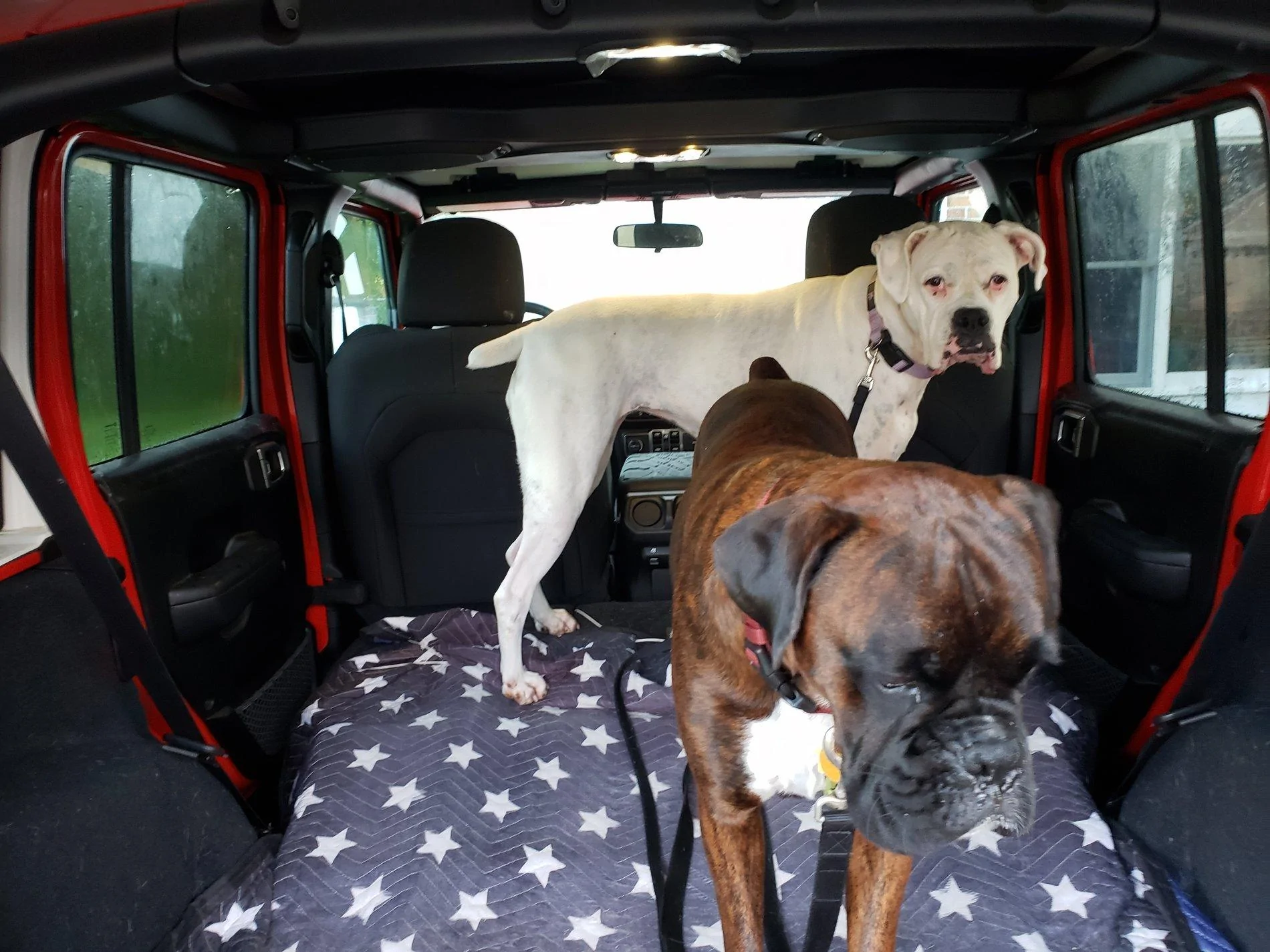 Jeep Wrangler JL Plug and Play amp upgrade to basic system Army Dogs