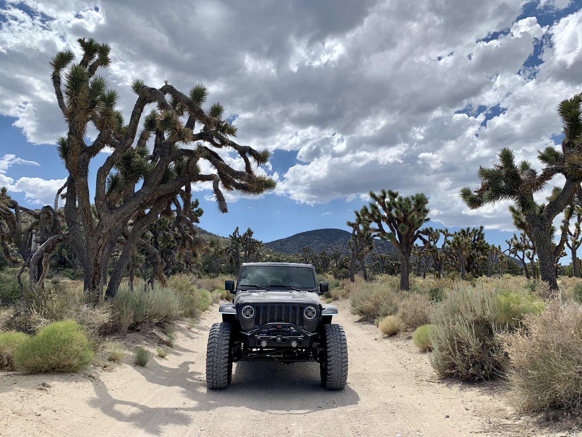 Jeep Wrangler JL Post Your 3.0 Pics 5F711360-DDF1-4220-8C9F-5C1EE1E2F324