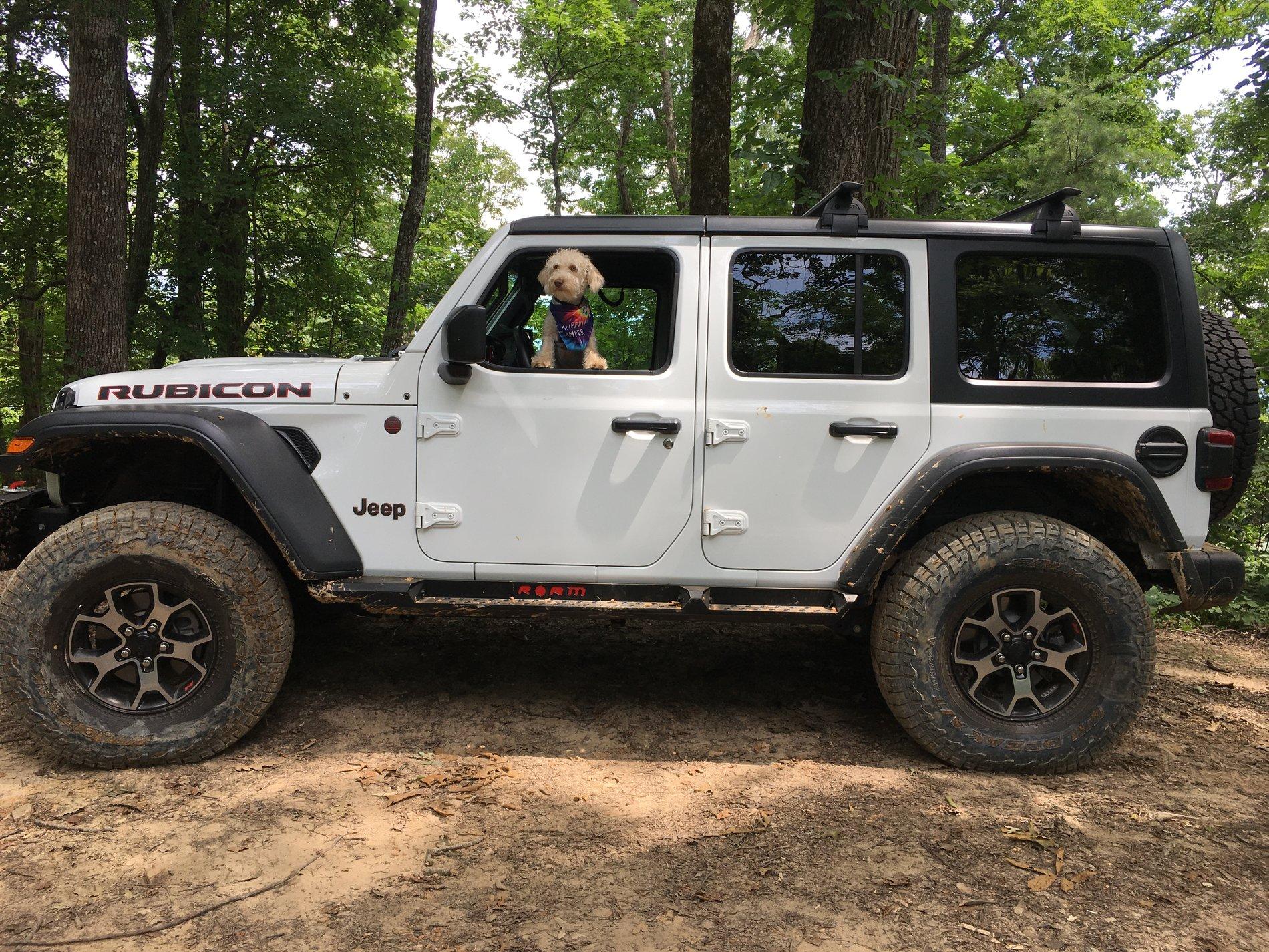 Jeep Wrangler JL Jeep Dog pics 4DE0773B-E434-45D5-9DCD-AD8978BC63BC