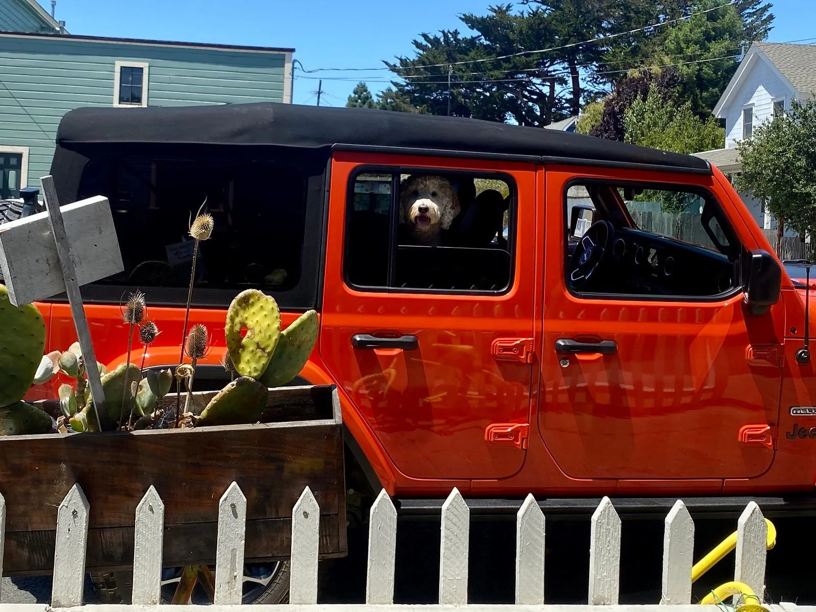 Jeep Wrangler JL Jeep Dog pics 0396E2B6-A0F1-4285-91ED-646B72846FC9-X3