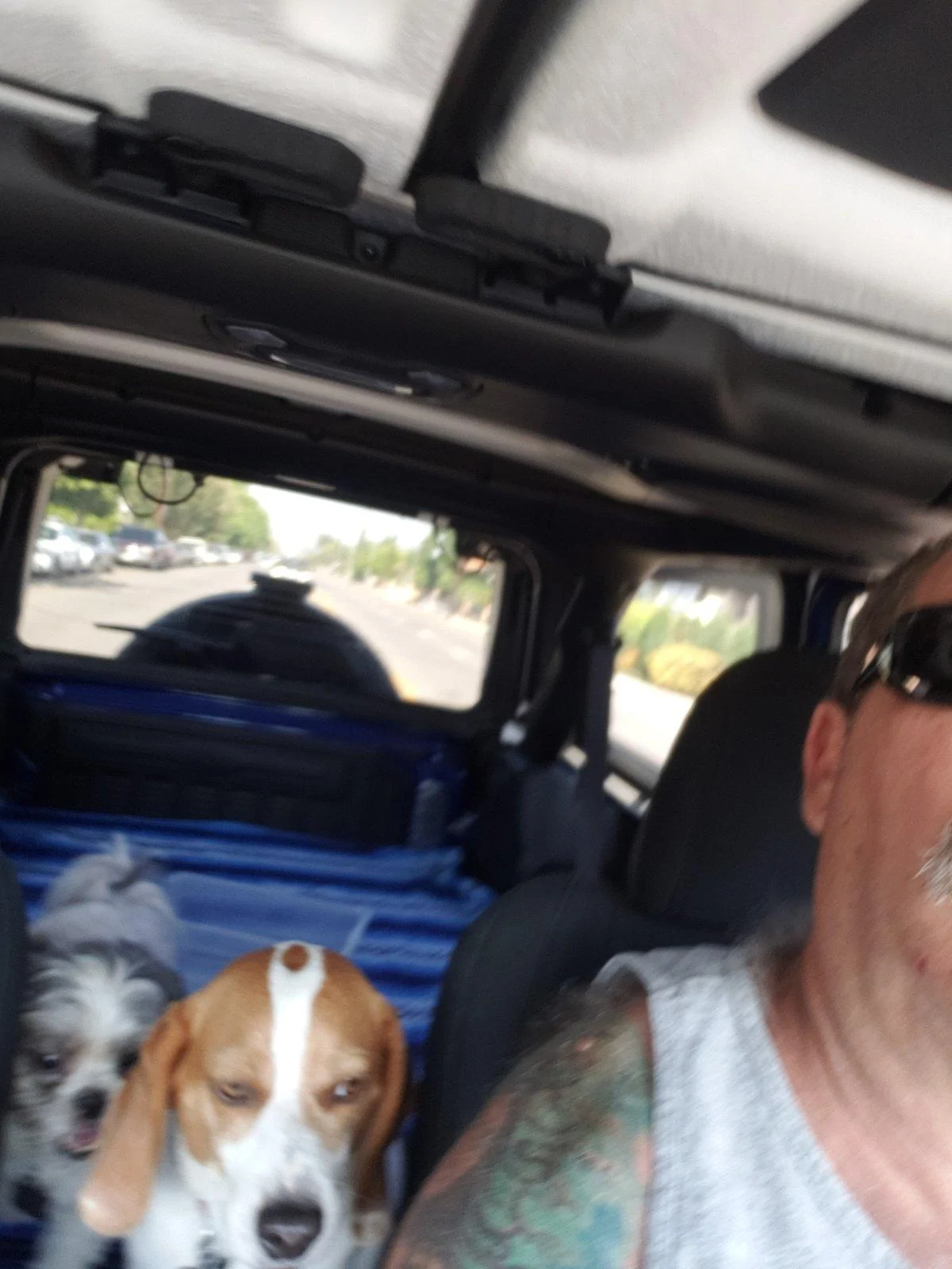Jeep Wrangler JL Jeep Dog pics 20180620_093410