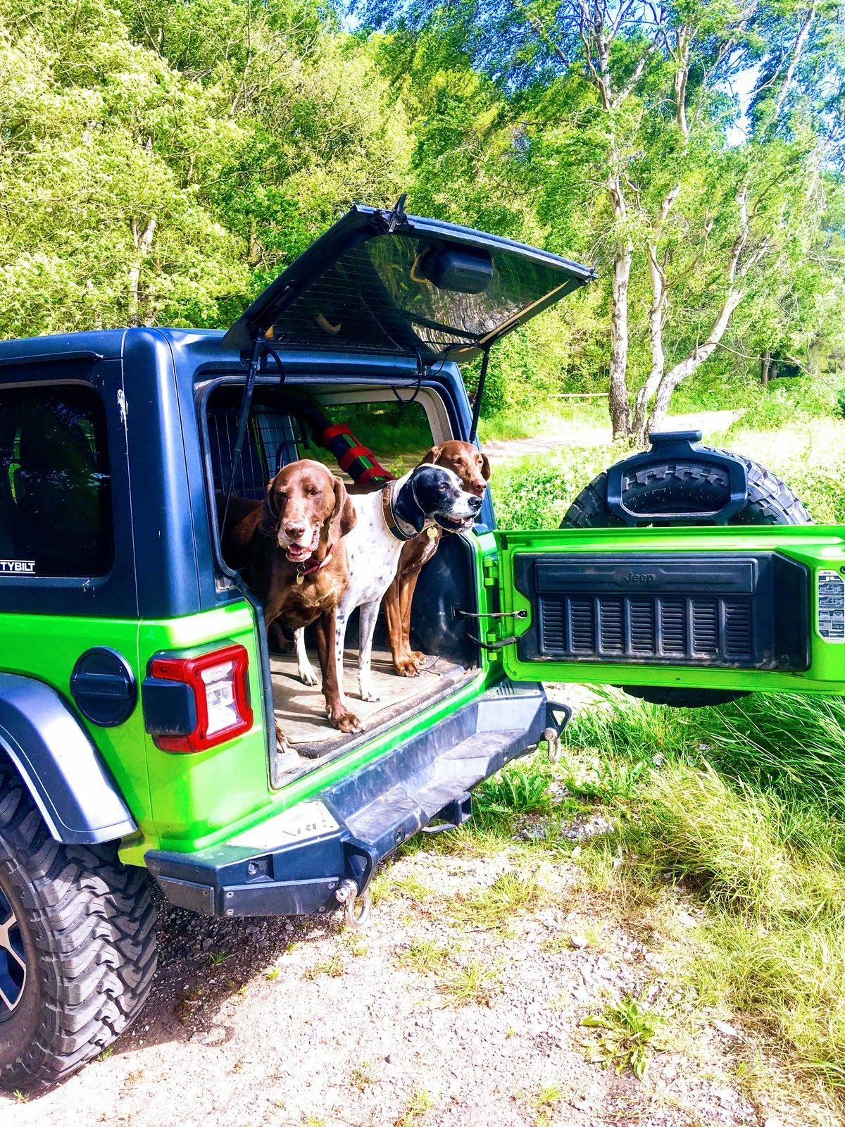 Jeep Wrangler JL Jeep Dog pics AA5E8BF7-2A0E-4F9F-9F6C-BA3CACE39235