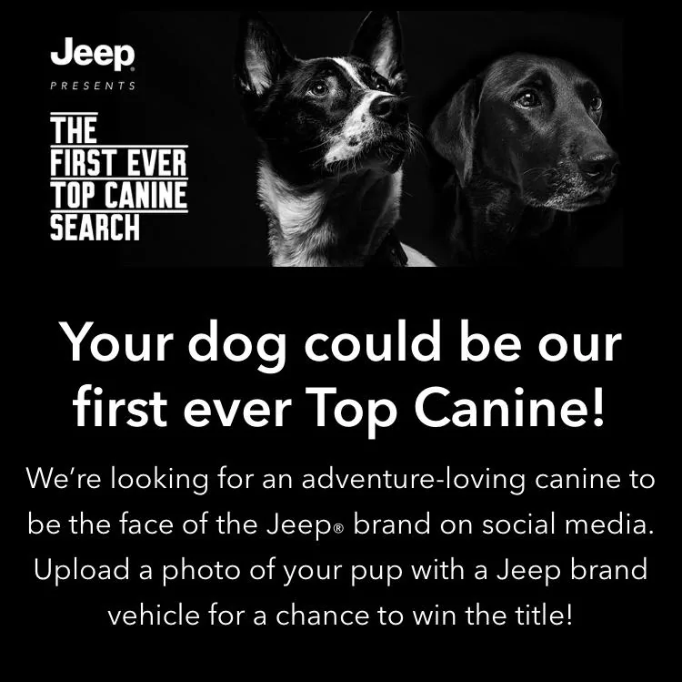 Jeep Wrangler JL Jeep Dog pics A8AF98E1-D93E-474F-BB4A-58E43A2DD840