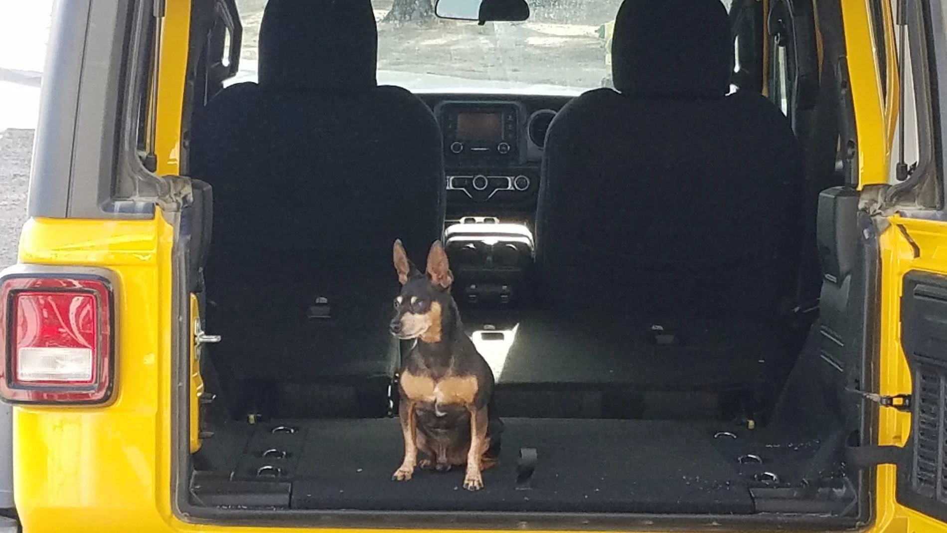 Jeep Wrangler JL Jeep Dog pics 20190401_084928