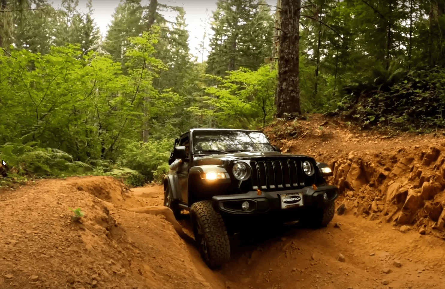 Jeep Wrangler JL Cedar Tree - Tillamook forest Oregon articulation
