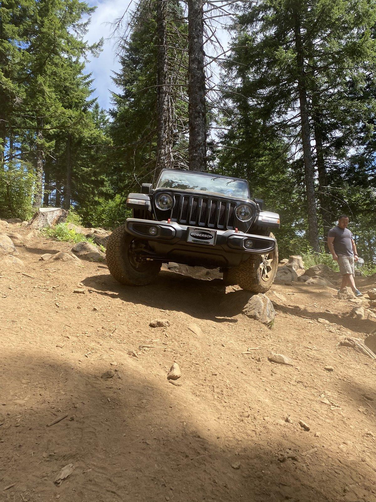 Jeep Wrangler JL Cedar Tree - Tillamook forest Oregon IMG_1836.JPEG