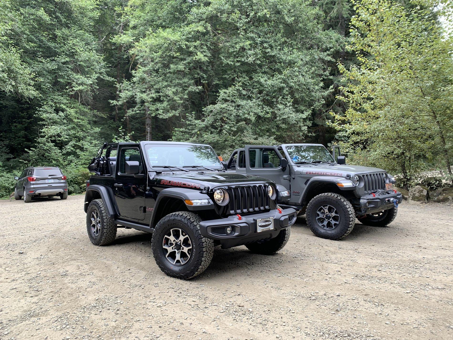 Jeep Wrangler JL Cedar Tree - Tillamook forest Oregon IMG_2800