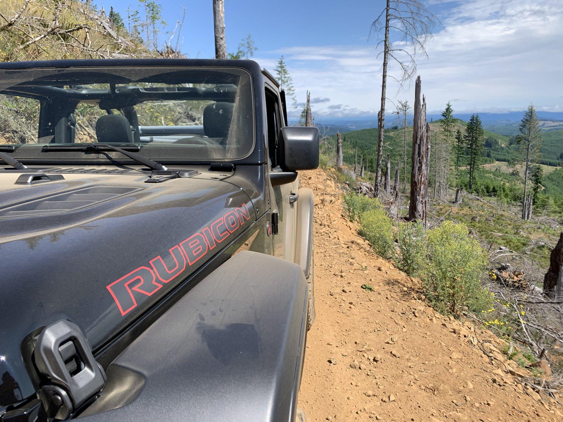 Jeep Wrangler JL Cedar Tree - Tillamook forest Oregon IMG_2817