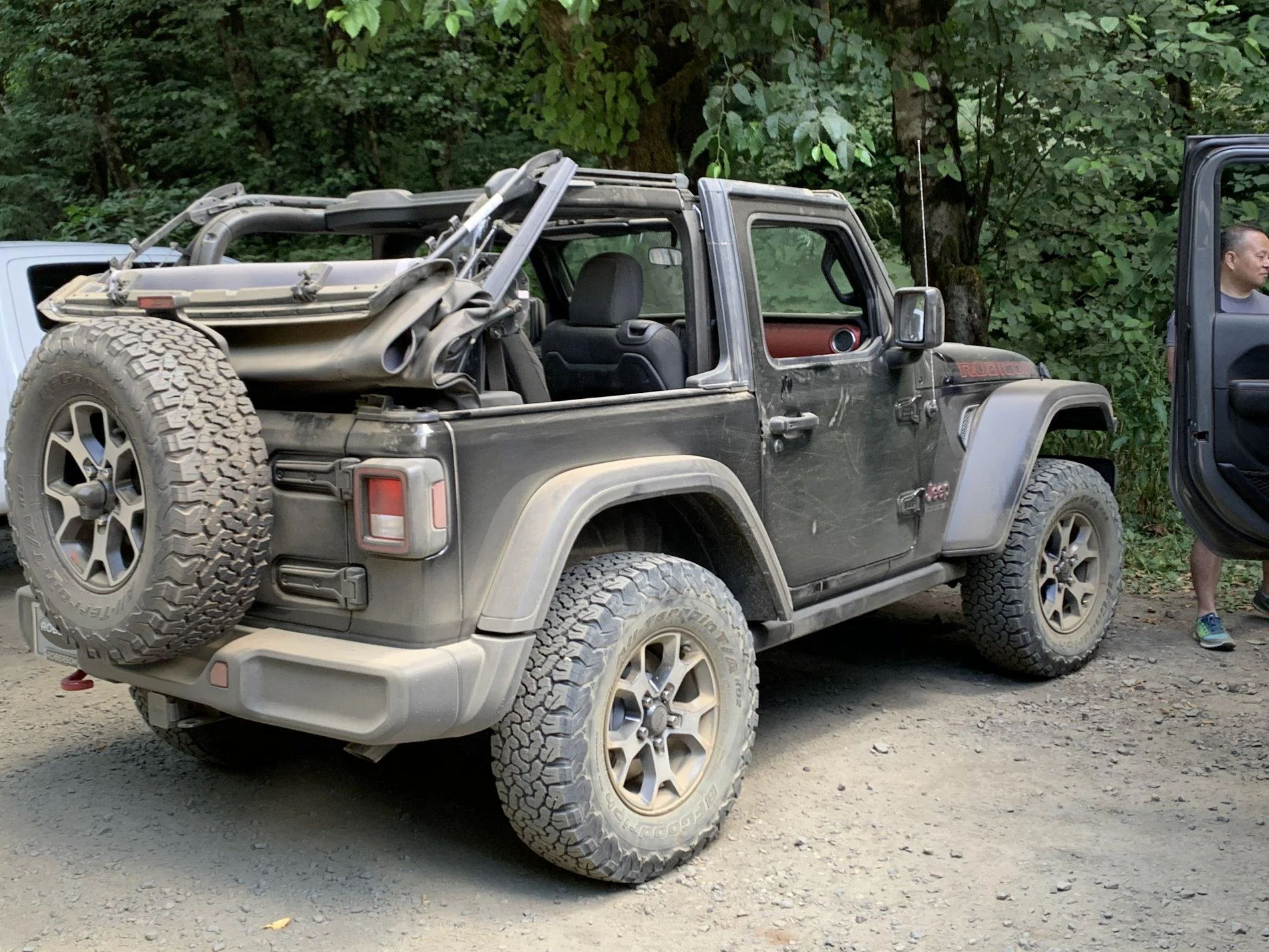 Jeep Wrangler JL Cedar Tree - Tillamook forest Oregon IMG_2819