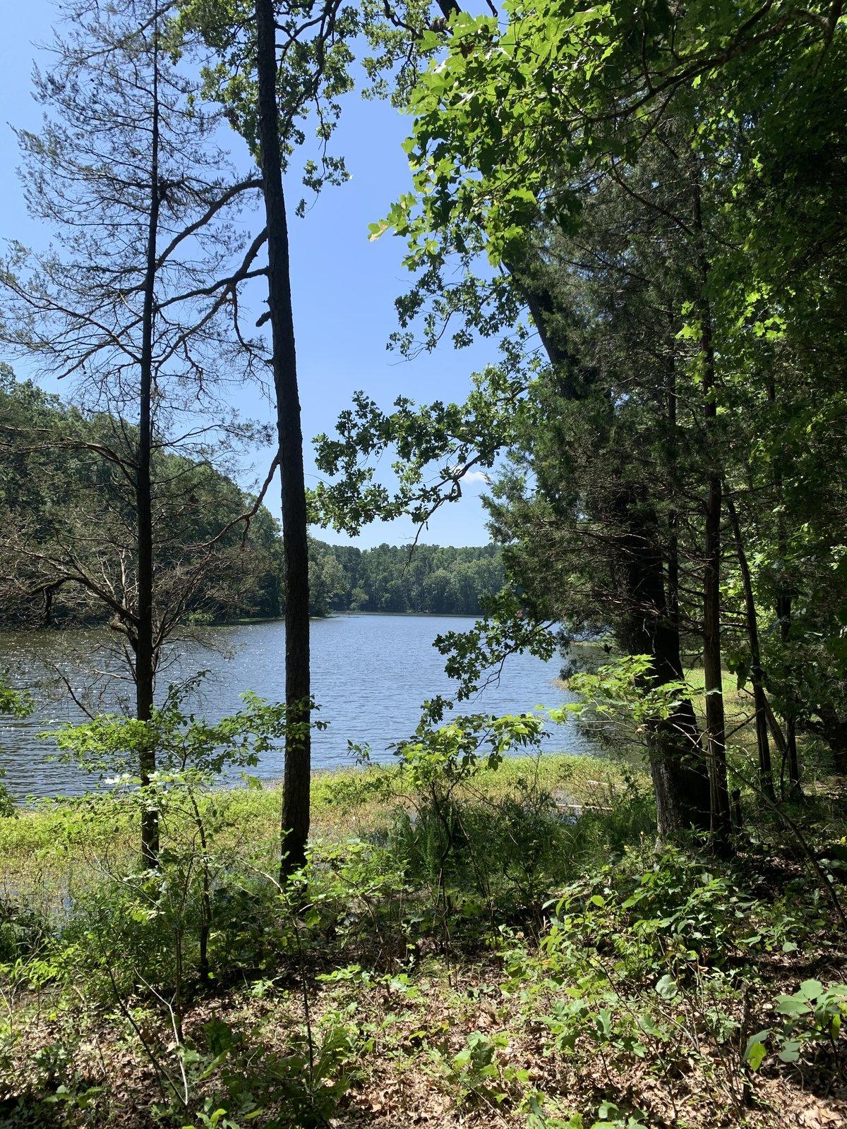 Jeep Wrangler JL Exploring North Carolina 29C80F9D-AAAC-43EF-A398-A0CE9F85EF3E