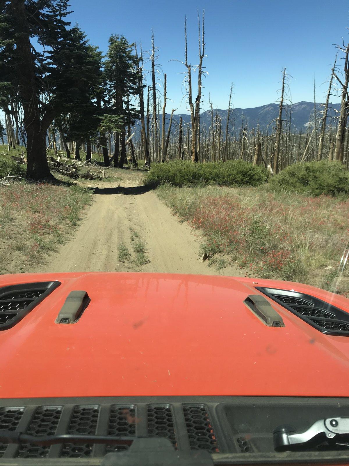 Jeep Wrangler JL Sherman Pass BD3DCBFD-684A-4A2F-88FE-9F9EAC3A9951