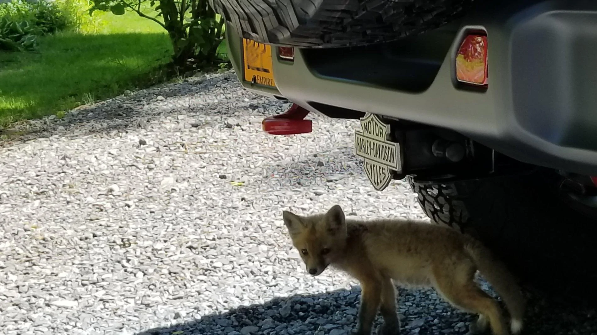 20180521_113337.jpg