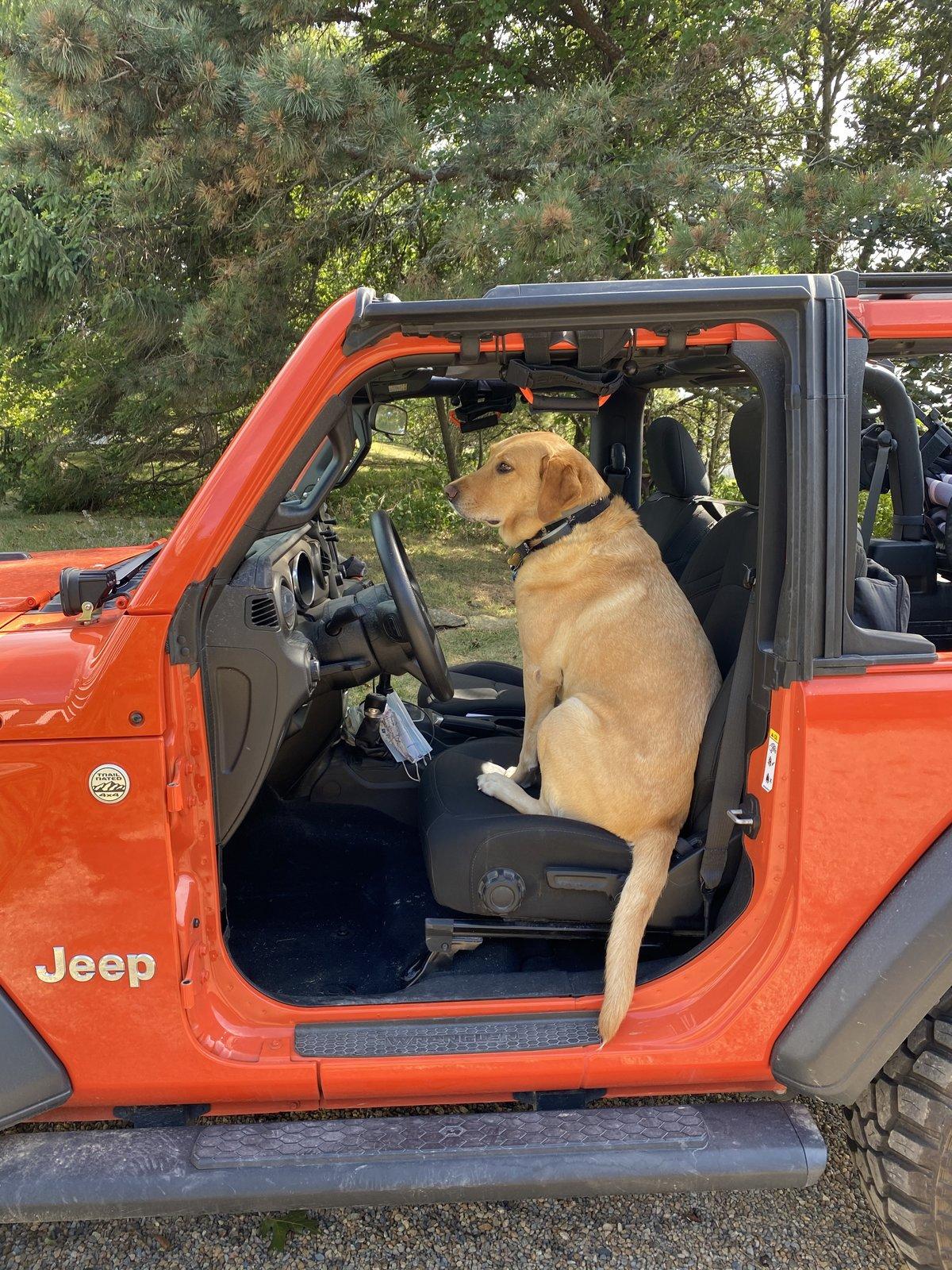 Jeep Wrangler JL Chauffeur for a Jeep? 09426C8B-C314-4764-91B9-D9FF836722AA
