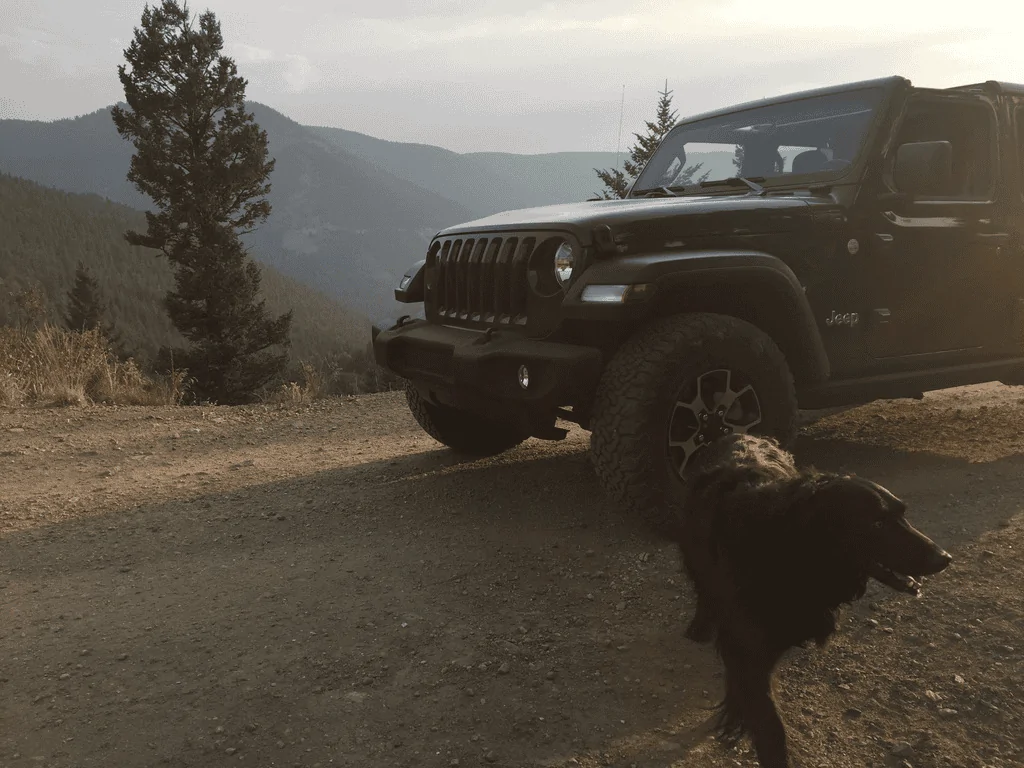 Jeep Wrangler JL Jeep Dog pics 1598064425137