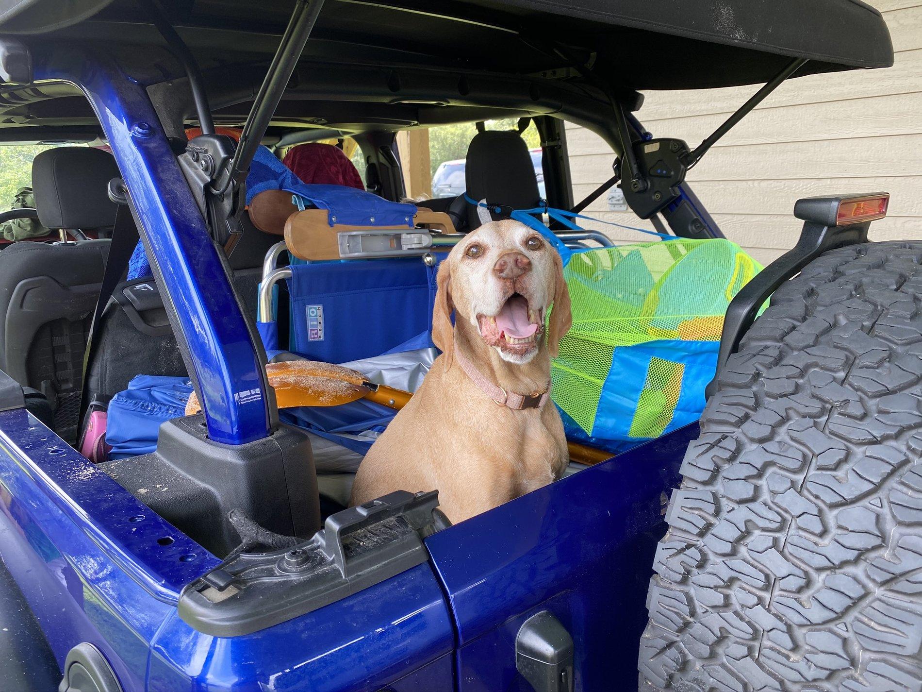 Jeep Wrangler JL Jeep Dog pics IMG_3417