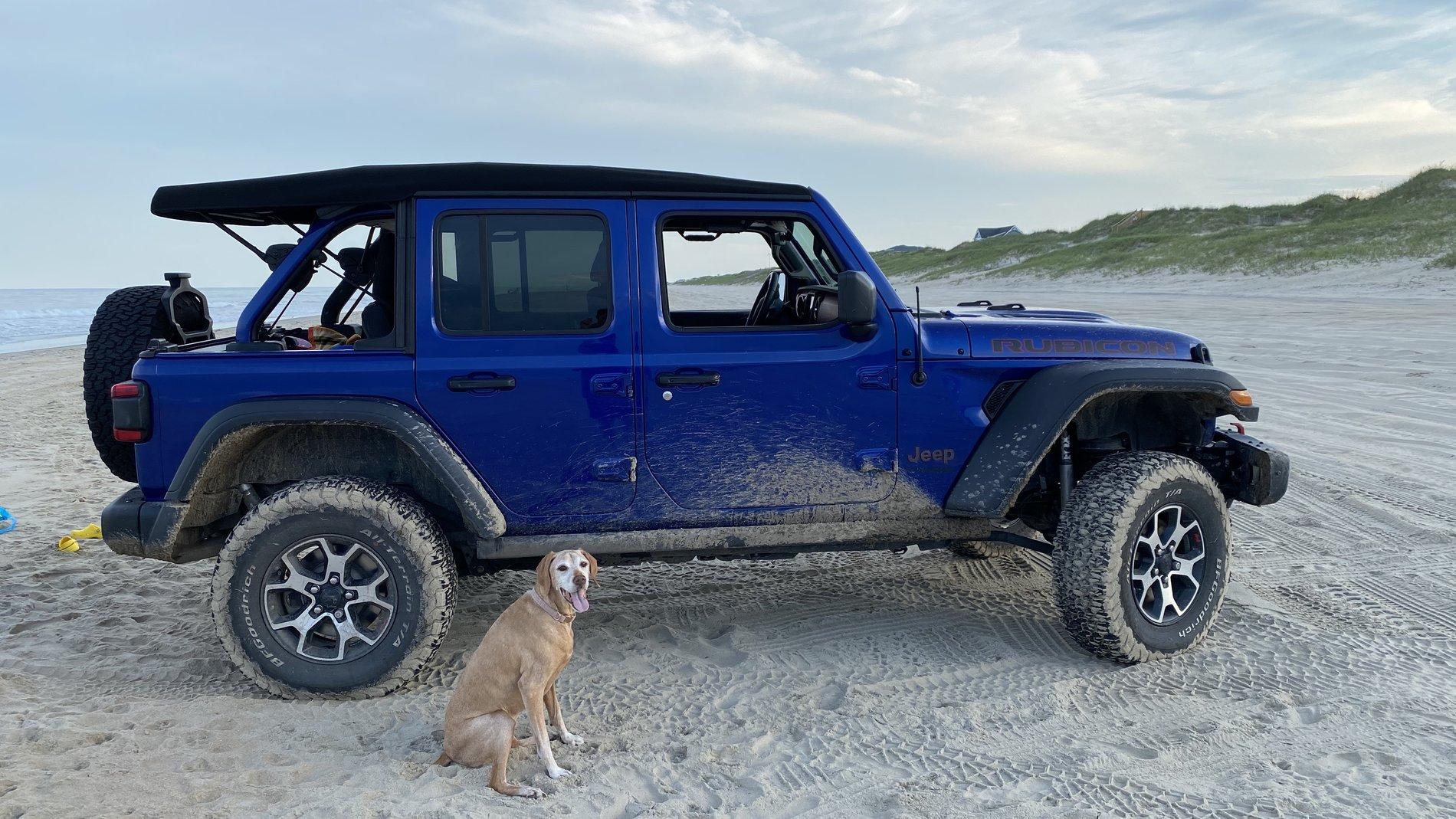 Jeep Wrangler JL Jeep Dog pics IMG_3379