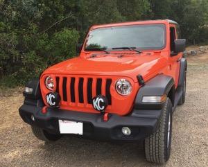 Jeep Wrangler JL Bumper mounted lights? 3A9906B2-549A-4E22-A7D1-697BD36919D4