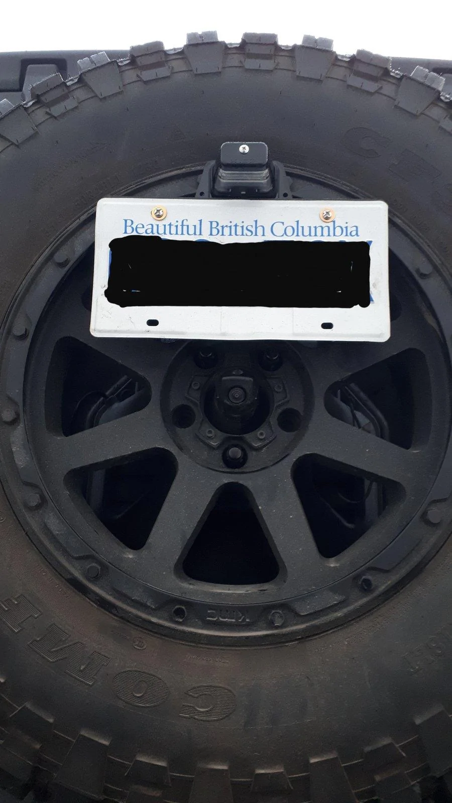 Jeep Wrangler JL Rear license plate relocation options...? 20191223_083047