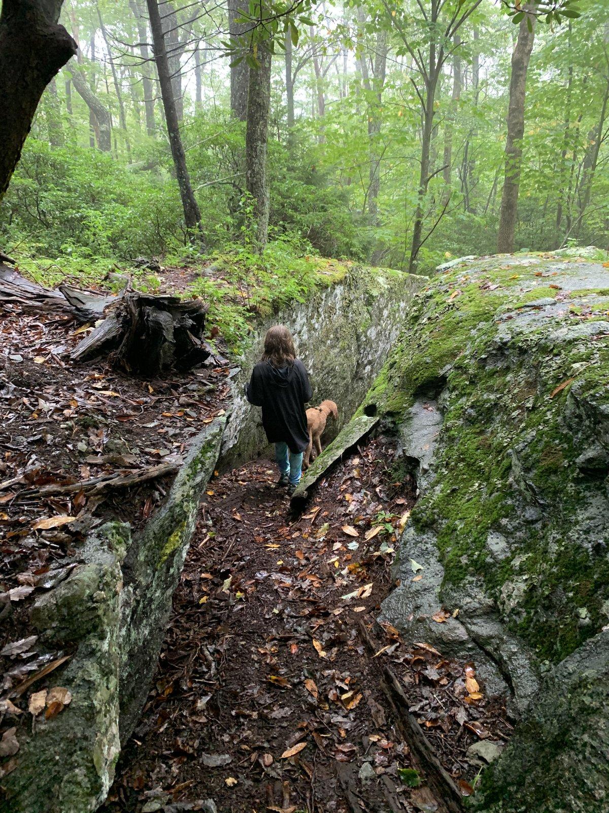 Jeep Wrangler JL Exploring North Carolina F3D9CC1E-0E90-4D89-8338-3BF03C6D158A