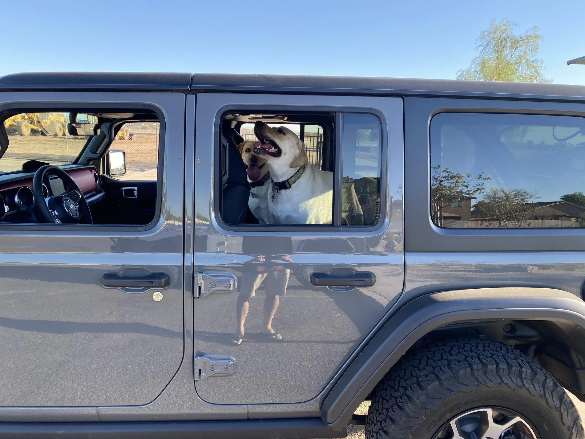 Jeep Wrangler JL Jeep Dog pics 2EF20180-018A-4588-983E-47AB71CE69AA