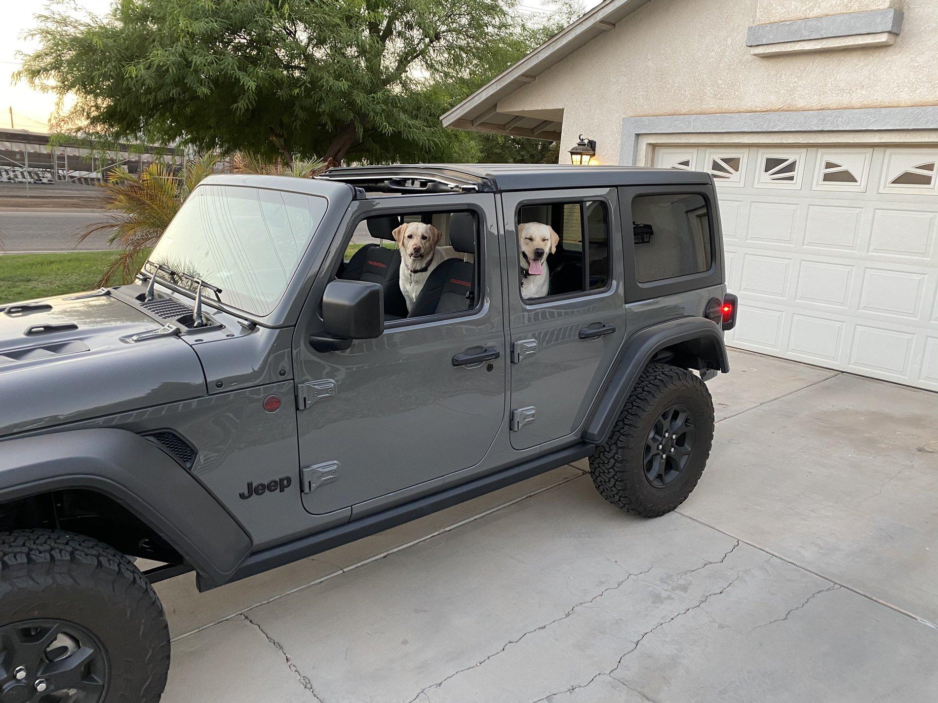 Jeep Wrangler JL Jeep Dog pics 1BBB503A-0B8B-49DB-98E0-0BACDD7D5463