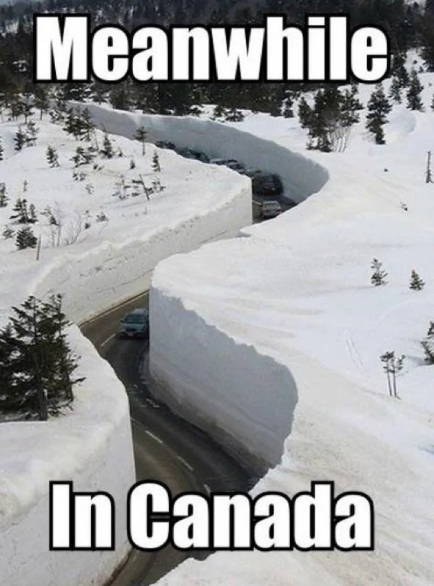 Jeep Wrangler JL Jeep humor waiting room ( ** NO POLITICS ** ) Finniest-Snow-Memes-Ever2