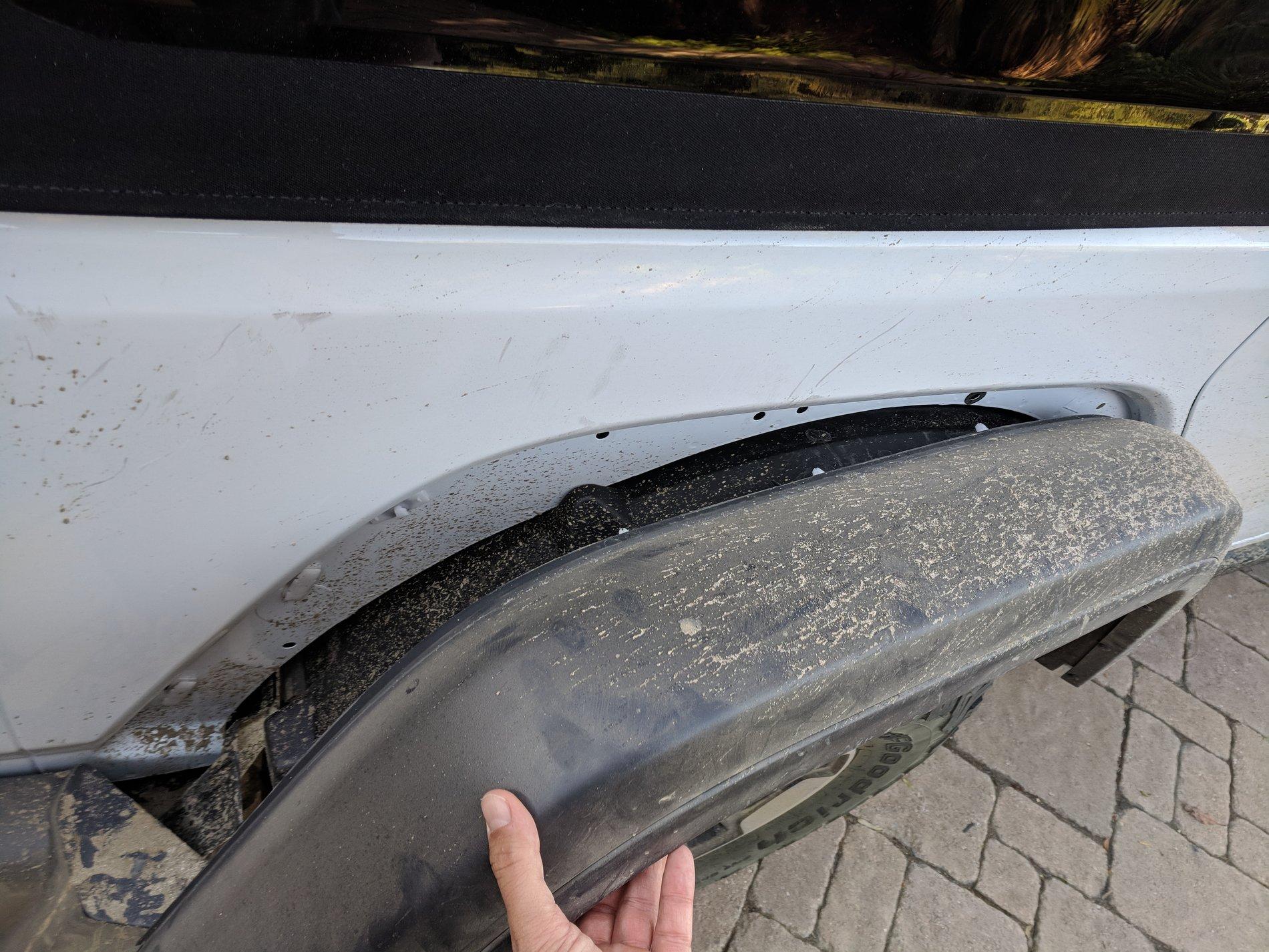 fender2.jpg