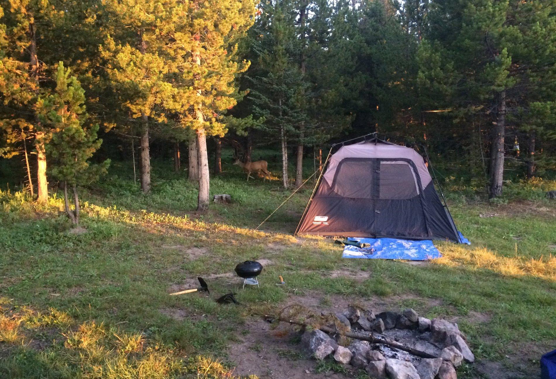 coleman 6 person tent.jpeg