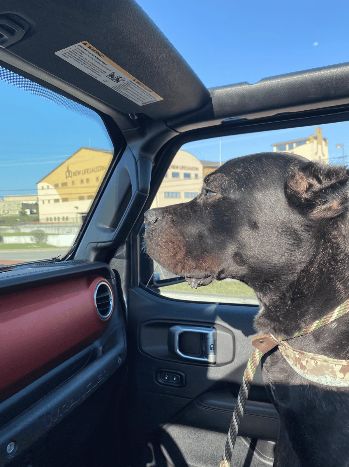 Jeep Wrangler JL Jeep Dog pics Screen Shot 2020-09-25 at 12.47.49 PM