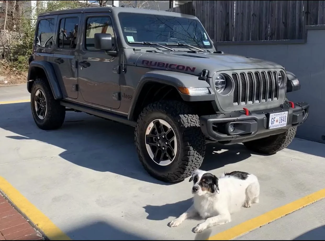 Jeep Wrangler JL Jeep Dog pics B09213C2-E563-4BA3-ACF1-AC3172C5B2D1_1_201_a
