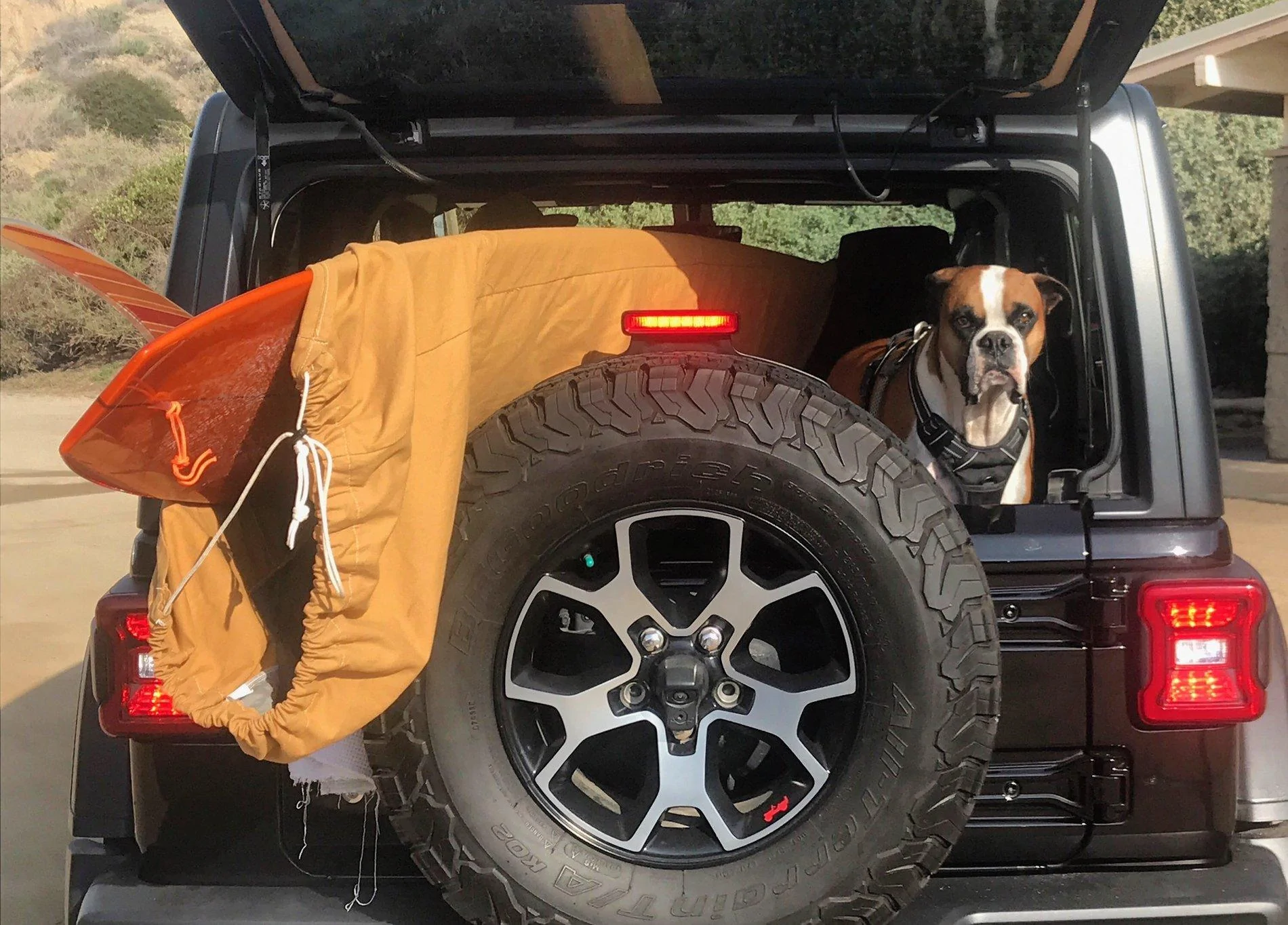 Jeep Wrangler JL Jeep Dog pics IMG_0164