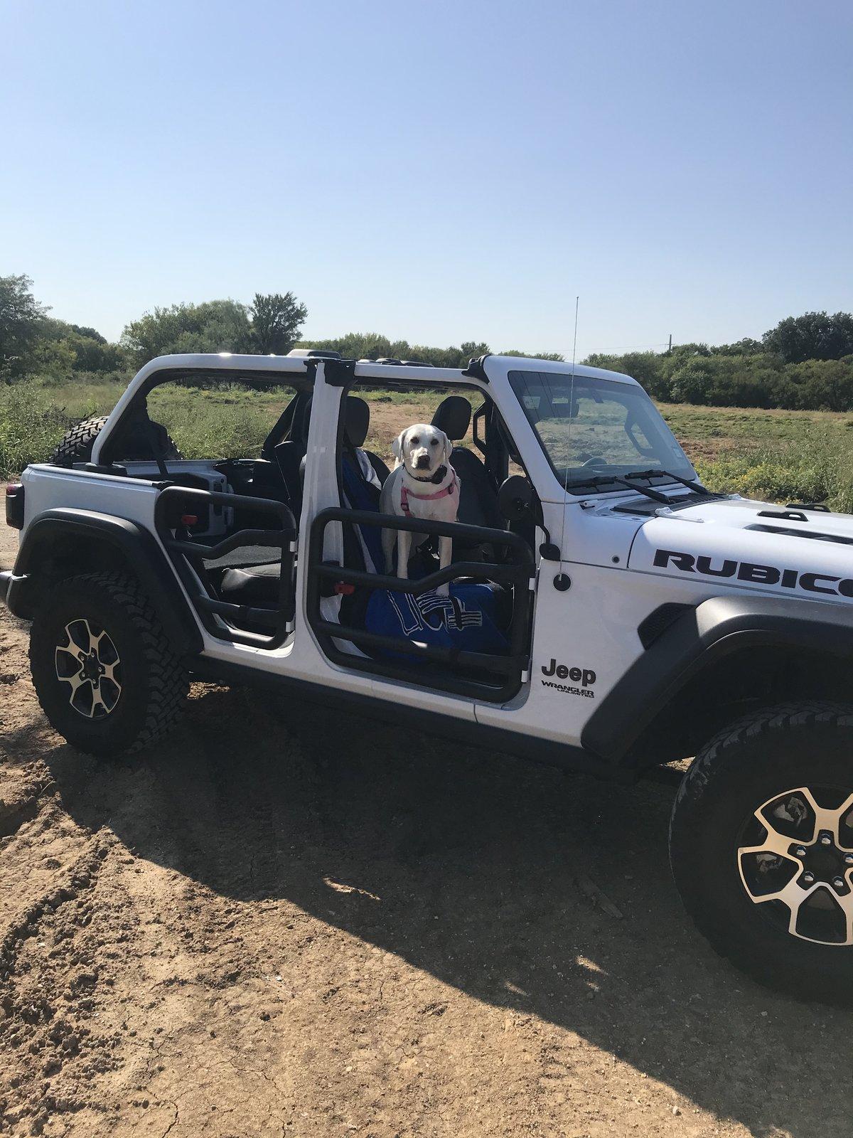 Jeep Wrangler JL Jeep Dog pics E61AB1C8-4BEB-40A2-B3F3-DE75BB702EAE