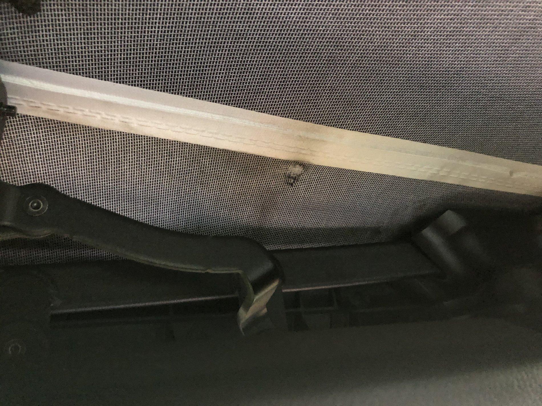 Jeep Wrangler JL Soft top rub - Anyone else seeing this? C28DBD7A-15D6-449A-92BD-793D333EA12D
