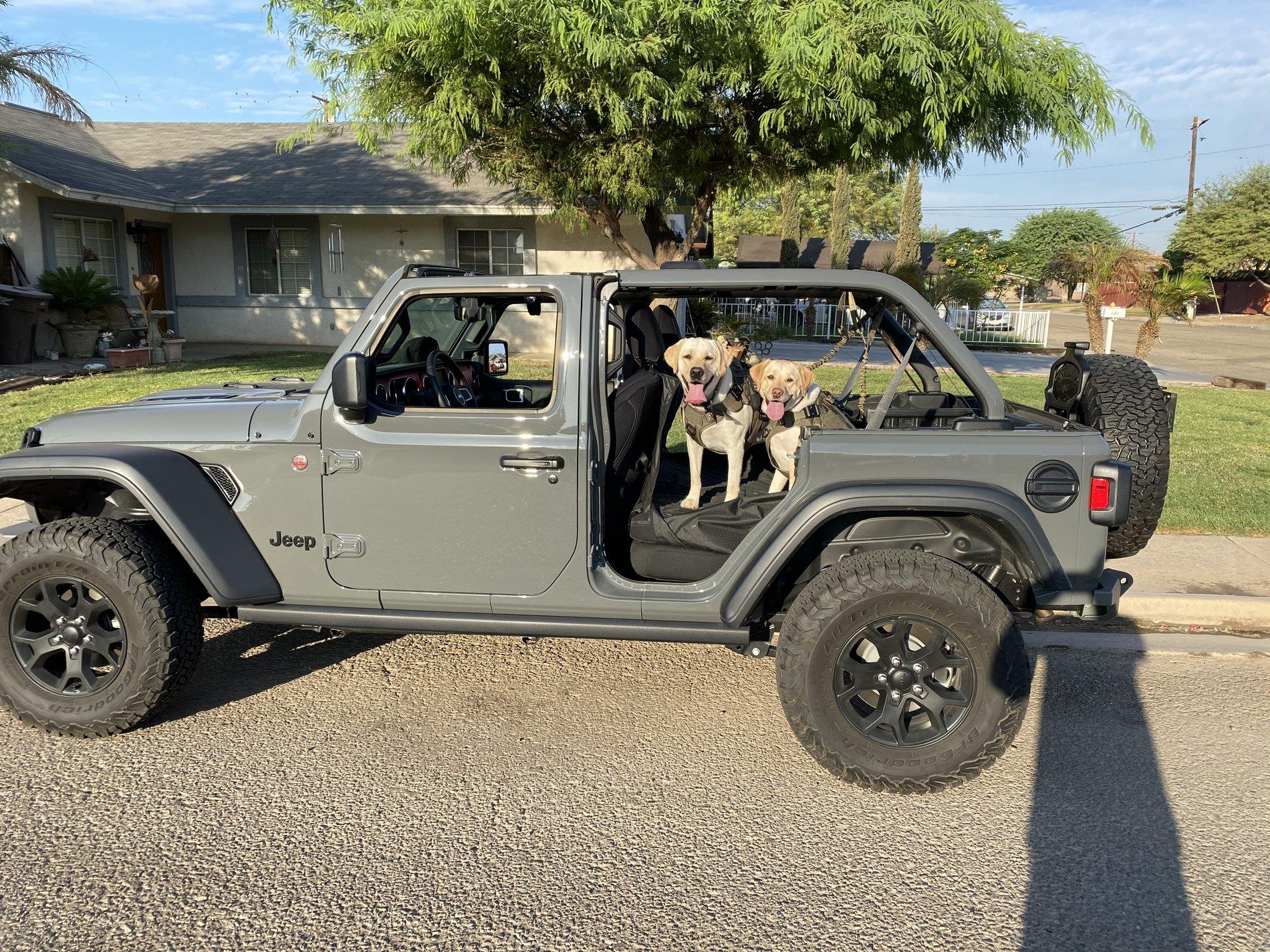 Jeep Wrangler JL Jeep Dog pics 954DC4C1-B68F-4255-93A5-2D9154941C84