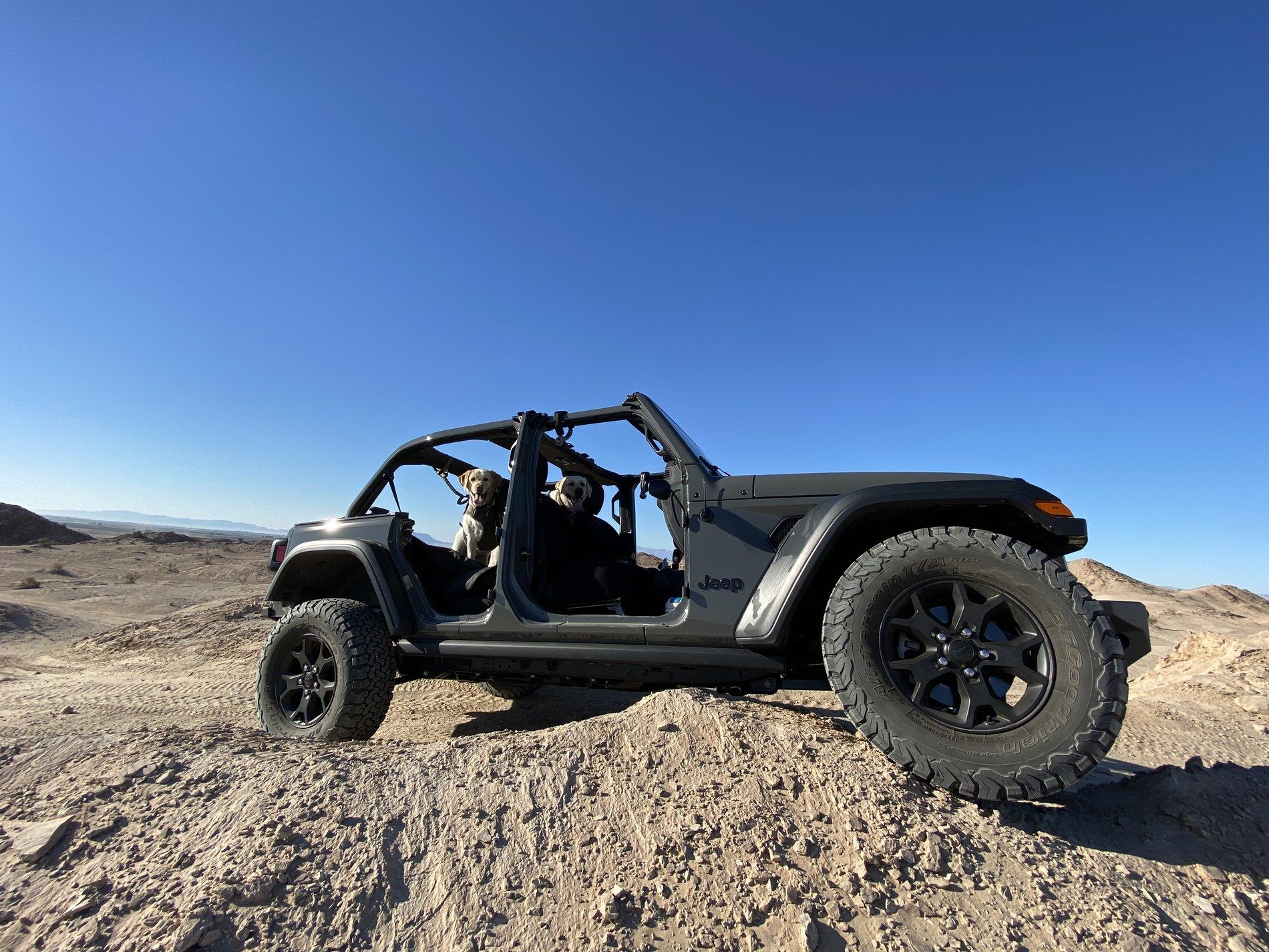 Jeep Wrangler JL Jeep Dog pics EC3A0B3B-91D7-4CF4-9452-52B8FC99FB0B